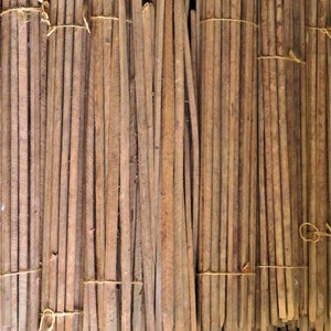 Bundle Of 10 "Blank" Tobacco Sticks 42" - 52"  (Etsy)