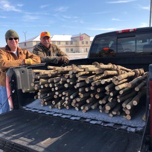 May include: A large collection of raw, cylindrical wooden sticks with textured bark stacked horizontally in the open bed of a black pickup truck. The sticks are uniform in length and appearance, featuring light-colored, circular cut ends.