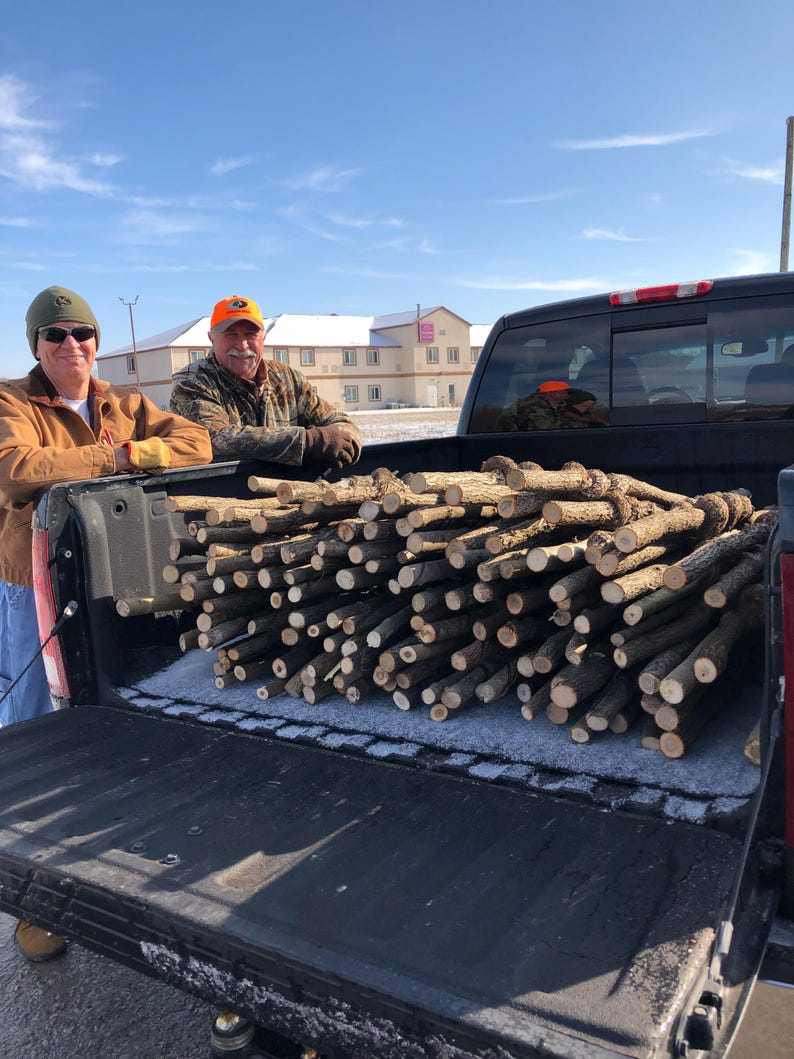 May include: A large collection of raw, cylindrical wooden sticks with textured bark stacked horizontally in the open bed of a black pickup truck. The sticks are uniform in length and appearance, featuring light-colored, circular cut ends.