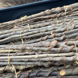 May include: A pile of twisted, natural wood branches bundled together with twine. The branches are a light brown color and have a rough, textured surface.