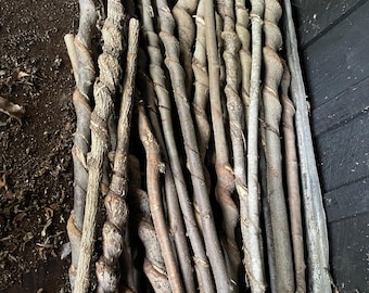 Natural Vine Curled Larger Diameter (2.0"-2.5" Diameter At Top) "Blank" Sticks (Etsy)