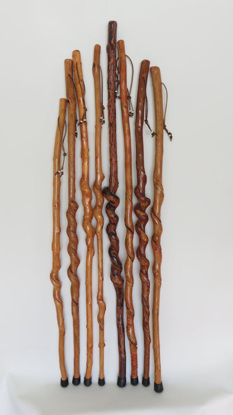Curled/Twisted Walking Sticks 5055 Inches Tall Etsy Etsy