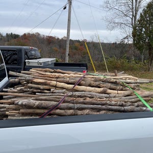 May include: A large collection of light brown, textured wooden walking sticks and branches stacked in the bed of a white pickup truck. The sticks vary in thickness and length, featuring natural knots and twisted bark patterns secured by straps.