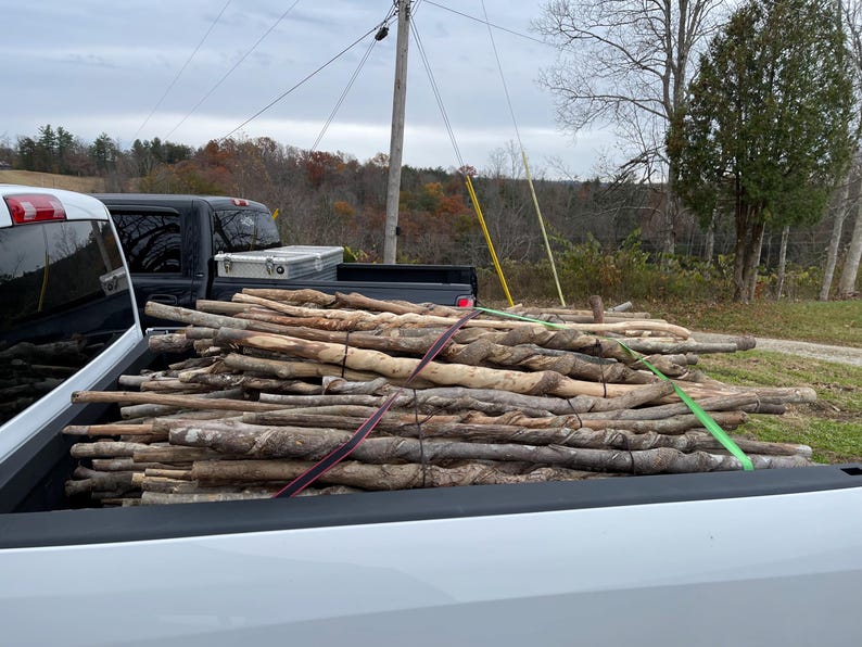 May include: A large collection of light brown, textured wooden walking sticks and branches stacked in the bed of a white pickup truck. The sticks vary in thickness and length, featuring natural knots and twisted bark patterns secured by straps.