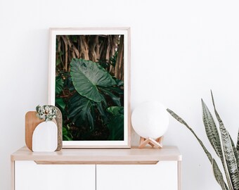 Kauai Hawaii Greenery Fine Art Print, Printable Wall Art, Hawaiian Tropical Plant, Vertical Instant Download, Forest Green, Taro Leaf