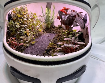 Może przedstawiać: Białe terrarium w kształcie hełmu z przezroczystym wizjerem, mieszczące miniaturowy ogród. Wnętrze zawiera ciemną ścieżkę, bujne zielone rośliny i czerwonofioletowe liście. Hełm ma czarne akcenty i czarną obwódkę.