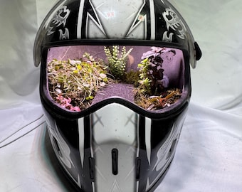 Może przedstawiać: Czarno-biały kask motocyklowy przekształcony w terrarium, wyposażony w przezroczystą szybę oraz wnętrze wypełnione różnymi zielonymi roślinami, mchem i ciemną ziemią. Skorupa kasku posiada graficzny wzór z białymi akcentami i czarnymi sekcjami.