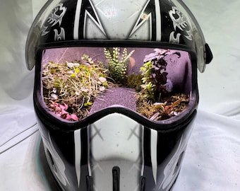 Może przedstawiać: Czarno-biały kask motocyklowy przerobiony na terrarium, wyposażony w przezroczystą szybkę i wnętrze wypełnione różnymi małymi zielonymi roślinami, mchem oraz ciemną ziemią, oświetlone przez wewnętrzne źródło światła wewnątrz skorupy kasku.