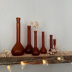Könnte beinhalten: Sechs braune Glasvasen in verschiedenen Größen und Formen stehen auf einem Holzregal. Einige Vasen enthalten kleine weiße Blüten. Unter dem Regal hängt eine Lichterkette mit warmweißen Lichtern.