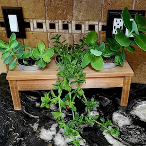 Small handmade cedar, wood planter