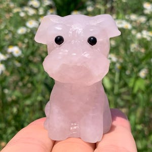 2.2&#39;&#39;+ Natural Pink Rose quartz,quartz crystal,hand carved,Crystal Schnauzer Dog,Dog skull,Crystal Gifts 1pc
