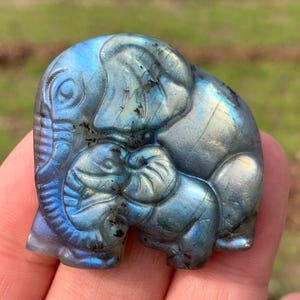 1.5''+ Natural Labradorite quartz crystal,hand carved Crystal Elephant skull Fine Gifts 1pc