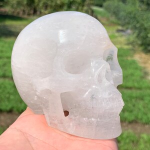 Puede incluir: Una calavera de cristal transparente y tallada con rasgos faciales detallados. La calavera es translúcida, permitiendo el paso de la luz, y se sostiene en una mano sobre un fondo verde borroso. La calavera es un objeto decorativo.