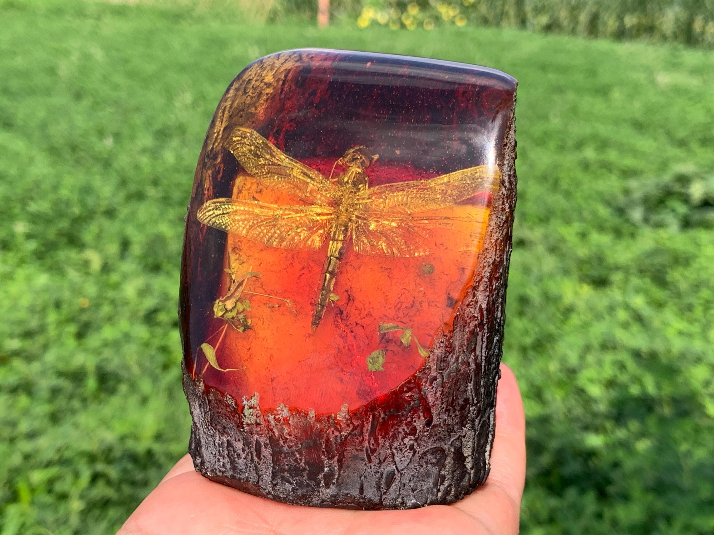 Dragonfly Amber Specimens - Etsy