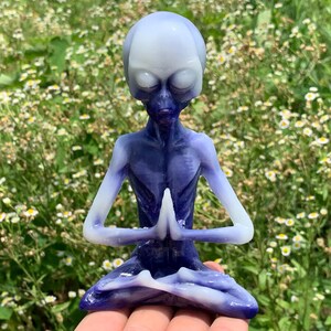 Peut inclure: Figurine d'extraterrestre bleu et blanc en position de yoga assise, les mains jointes. L'extraterrestre a une grosse tête et un corps mince. La figurine est placée sur un fond de feuillage vert et de petites fleurs blanches.