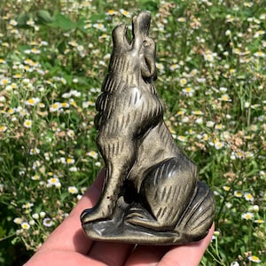 4.3&#39;&#39;+ Natural Gold Obsidian quartz,quartz crystal,hand carved,Crystal Wolf specimen,Wolf skull,Fine Crystal Gifts 1pc