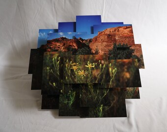 Red Cliffs Flower, Utah