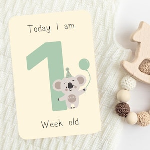 Cartes jalons bébé fêtards - Cartes jalons bébé - Cartes jalons mensuels imprimables