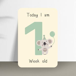 Animal Baby Milestone Cards - Baby Boy Milestone Cards - Baby Milestone Cards - Printable Monthly Milestone Cards