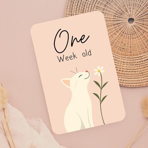 Cartes jalon bébé marguerite et animal - Cartes jalon bébé - Cartes jalon mensuels imprimables