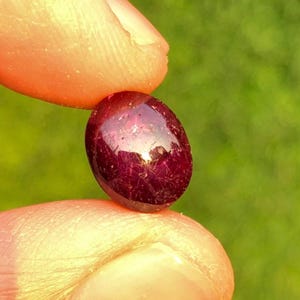 May include: A polished, oval-shaped, deep red gemstone held between two fingers against a blurred green background. The gem reflects light, showcasing its rich color and smooth surface. The gem is approximately 0.75 inches in length.