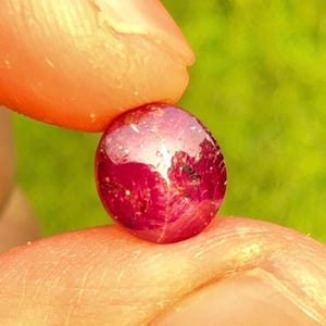 May include: A round, polished ruby gemstone, held between two fingers. The gem is a deep red color with reflective surfaces, and appears to be approximately 0.5 inches in diameter. The background is a blurred green.
