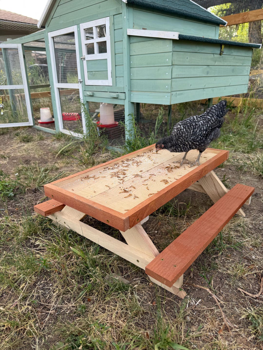 Chick-nik-table - Etsy