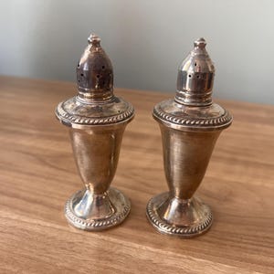 May include: Two antique silver salt and pepper shakers. Each shaker has a conical body, a decorative rope-like band, and a perforated top. The shakers are displayed on a wooden surface.
