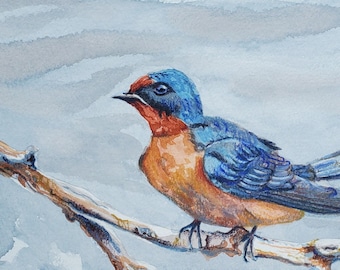 ORIGINAL Watercolor and Prismacolor Painting - Swallow
