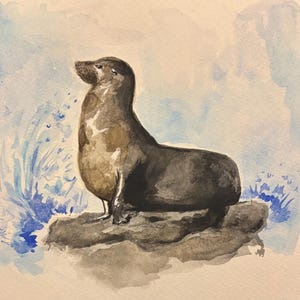 Sea Lion original watercolor, signed by artist