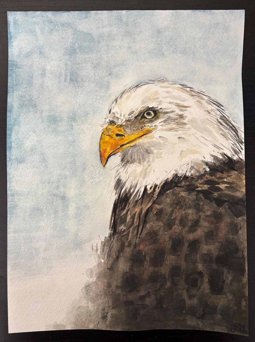 Bald Eagle Artwork, Original Watercolor Wildlife Art 8x10 - Etsy