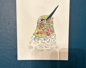 Koliber Akwarela i tusz 2