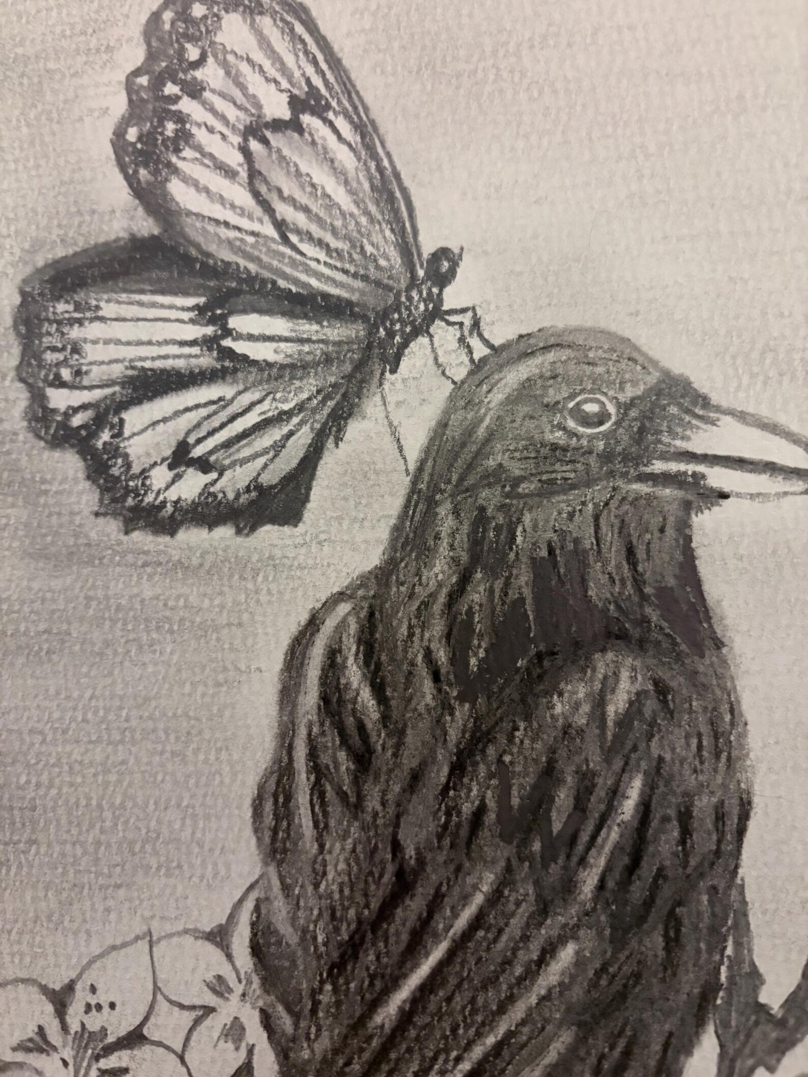 Crows Graphite Original Crow and Butterfly Drawing, A4 Framed Graphite and Charcoal ...
