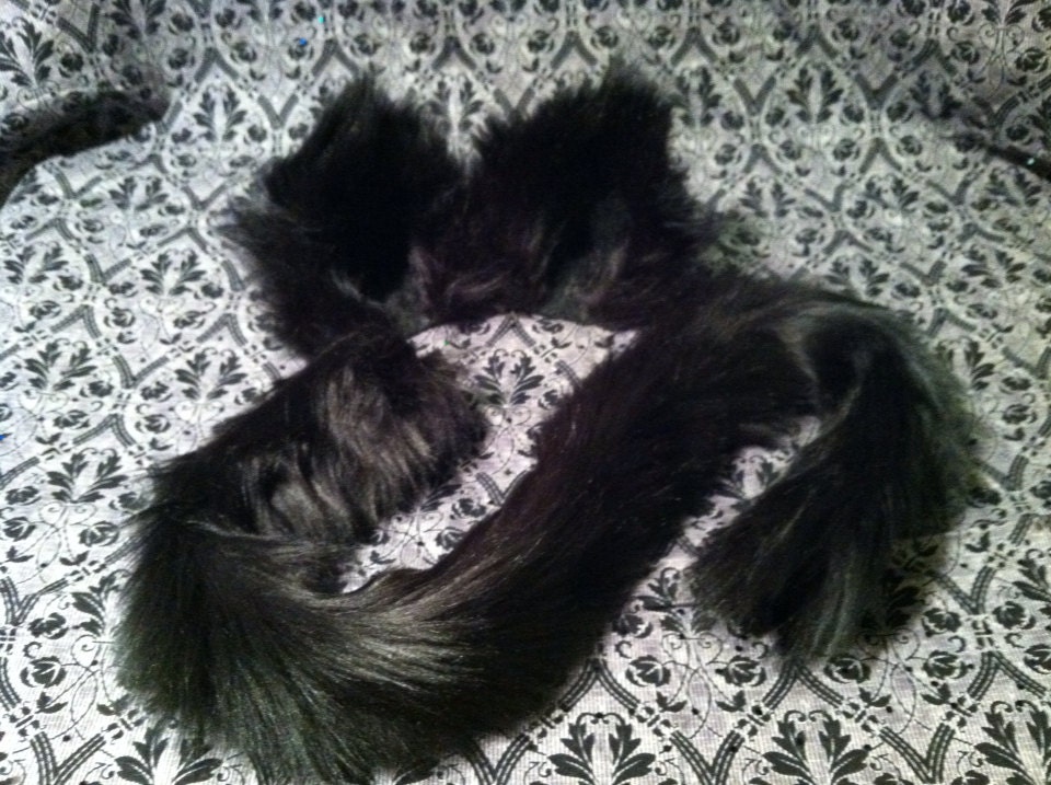 Kitty Cat Ears Clip on / Barrettes / Black Ears / with or without Kitty Cat tail / costume / cosplay / wolf