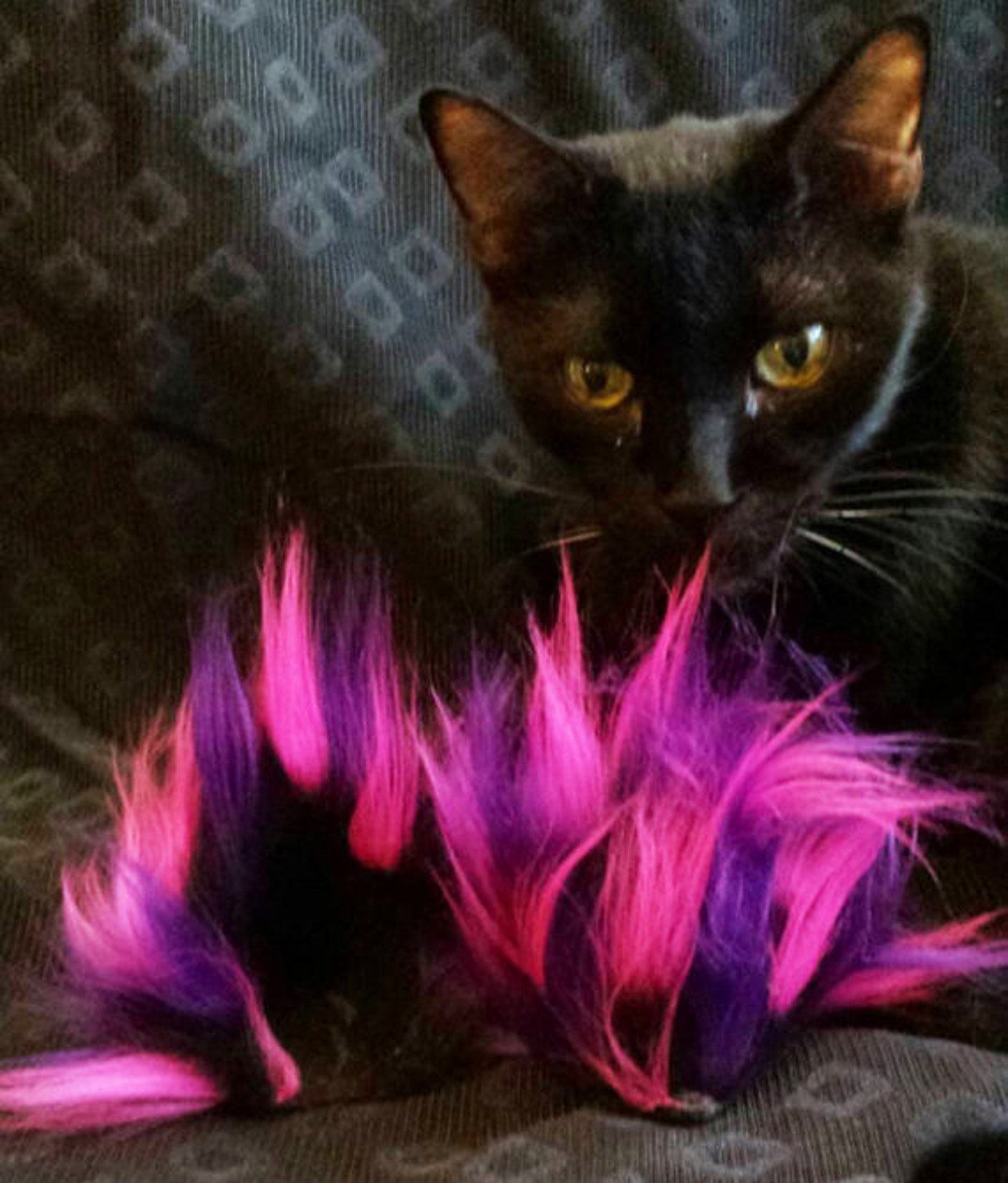 Cat Ears /3 Color Spiky Fur Clip on Cat Ears Black Hot Pink Etsy