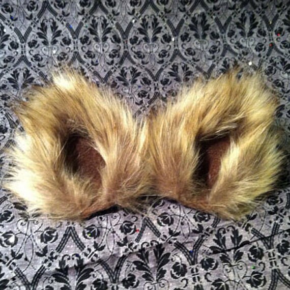 Golden Brown Light Brown Cats Toxoplasmosis