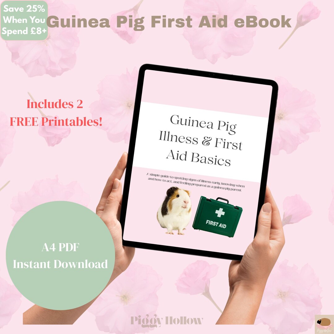 Curated visual reference: Guinea Pig Critical Illness Supportive Care Reference: Guinea Pig Illness And First Aid Guide Printable Small Pet