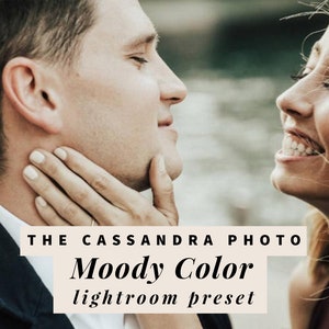 Moody Color Lightroom Desktop Presets, Moody Warm Film Presets, Wedding Photographer Moody Presets, Portrait Photographer Moody Presets image 1