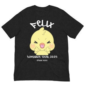 Stray Kids Felix Shirt, Dominate Tour Outfit, STAY Fan Gift