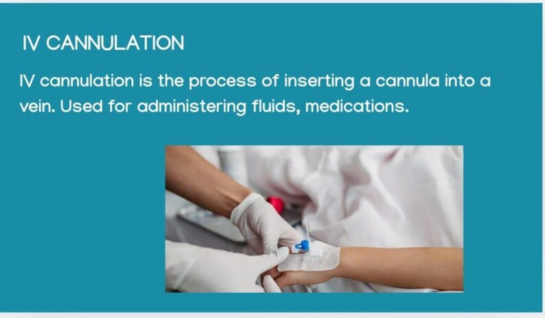 IV Cannulation Ppts Editable, Invasive Procedures Ppt, Cannula ...