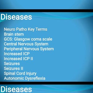 50 Editable Neurology system ppts, Best for study, Nclex preparation, Neuro diseases, interventions, treatments