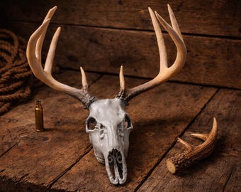 Deer Skull (whitetail Buck 6 Point Trump Theme) - Etsy
