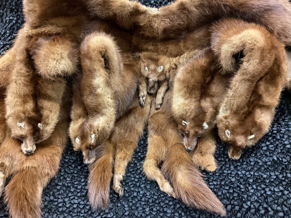 5-pelt mink stole has unique construction. Beauti… - image 9