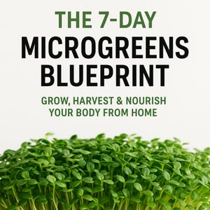 7-Day Microgreens Grow Guide: Urban Farming eBook (Digital Download)