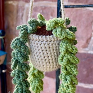 May include: A handmade crochet hanging plant with a beige pot and trailing green leaves. The plant is suspended by a natural-colored rope. The pot is filled with brown material, and the leaves cascade down the sides.