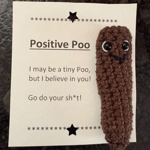 Handmade Crocheted Positive Poo