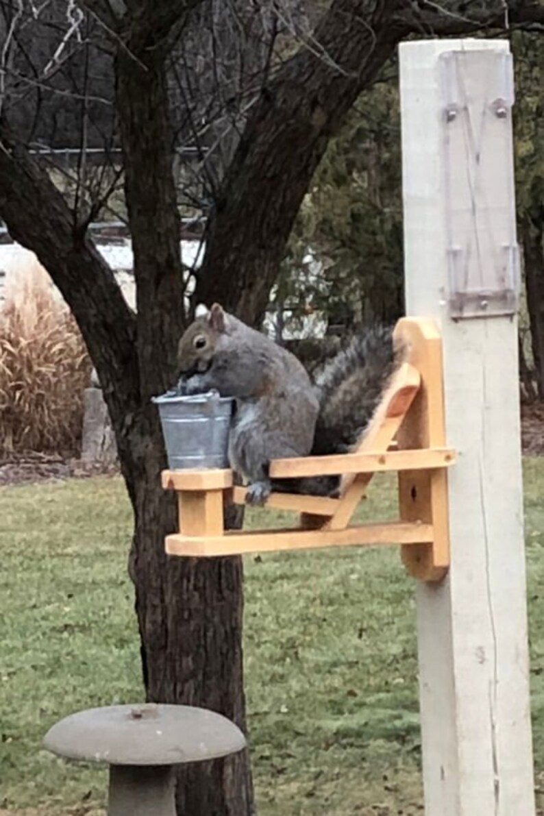 Miniature adirondack Chair Squirrel Feeder Etsy