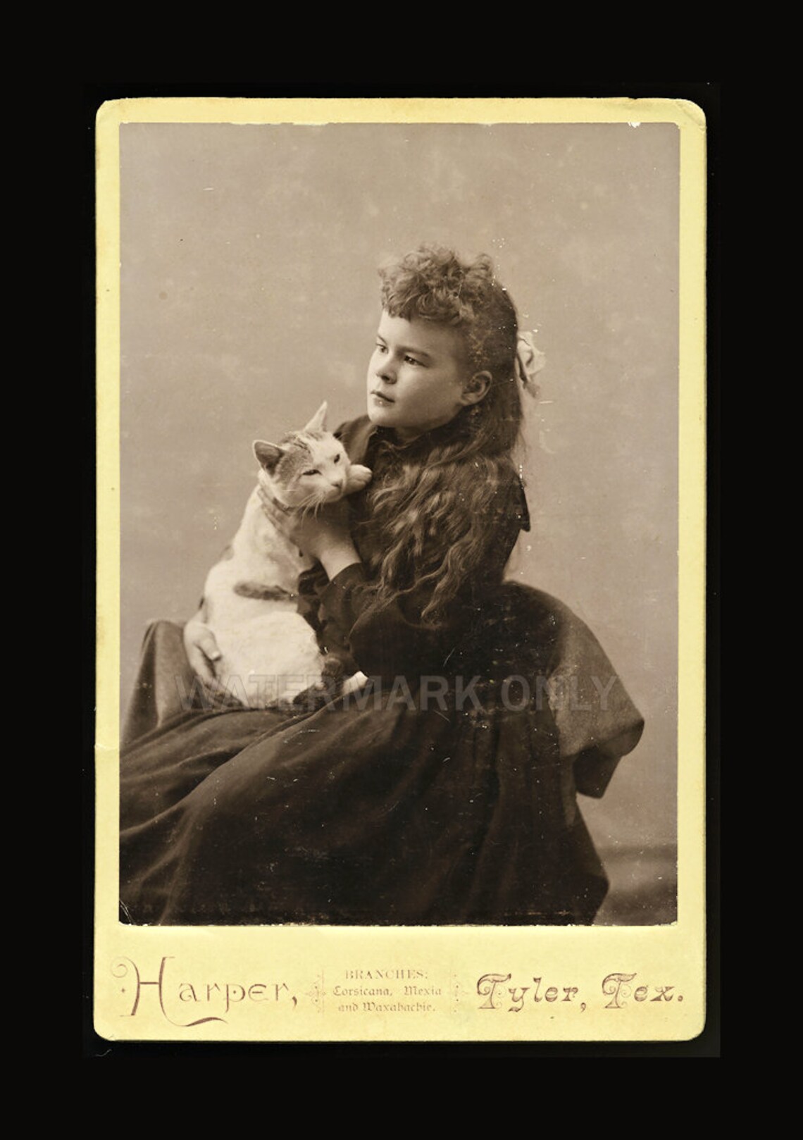 Antique Photo Girl Holding Pet Cat / Texas 1800s Etsy