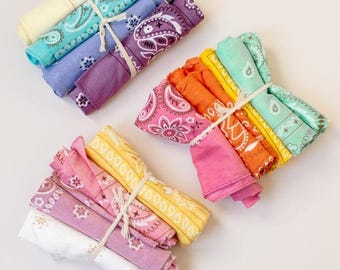 Cowgirl Themed Bachelorette Party Favors Desert Bachelorette Party Bandana Pastel Color Wedding Favor Western Theme Party Favor Nashville