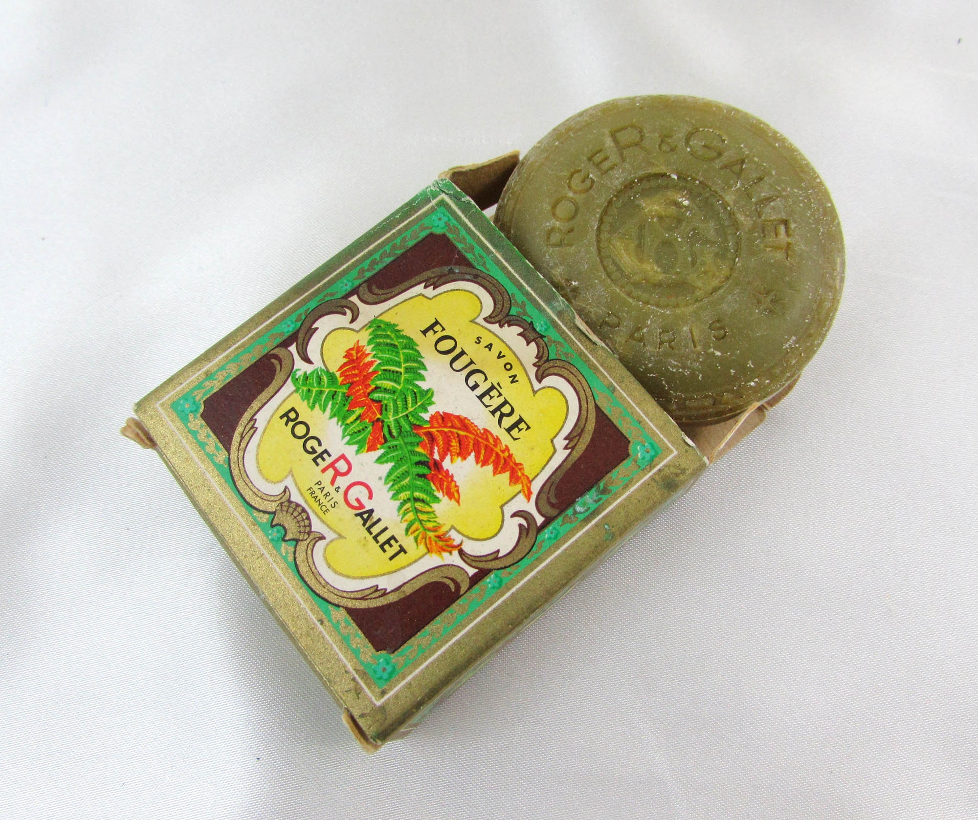 gummibaum mit kleinen blättern Gummibaum – ruuds